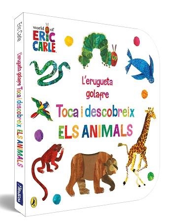 ERUGUETA GOLAFRE, L'. TOCA I DESCOBREIX ELS ANIMALS | 9788448864941 | CARLE, ERIC | Llibreria Aqualata | Comprar llibres en català i castellà online | Comprar llibres Igualada