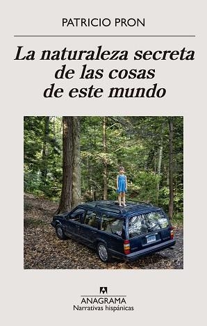 NATURALEZA SECRETA DE LAS COSAS DE ESTE MUNDO, LA | 9788433911186 | PRON, PATRICIO | Llibreria Aqualata | Comprar llibres en català i castellà online | Comprar llibres Igualada