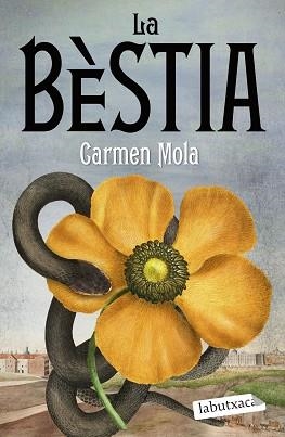 BÈSTIA, LA | 9788419107862 | MOLA, CARMEN | Llibreria Aqualata | Comprar libros en catalán y castellano online | Comprar libros Igualada