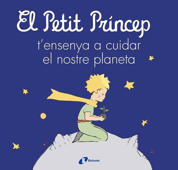 PETIT PRÍNCEP T'ENSENYA A CUIDAR EL NOSTRE PLANETA, EL | 9788413493046 | DE SAINT-EXUPÉRY, ANTOINE/CARRIL MARTÍNEZ, ISABEL/CAVERO, PALOMA/RODRÍGUEZ-RABADÁN, BEATRIZ | Llibreria Aqualata | Comprar llibres en català i castellà online | Comprar llibres Igualada