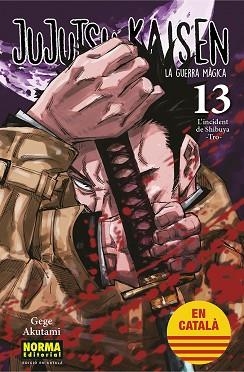 JUJUTSU KAISEN 13 (CATALA) | 9788467957679 | AKUTAMI, GEGE | Llibreria Aqualata | Comprar llibres en català i castellà online | Comprar llibres Igualada