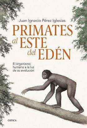 PRIMATES AL ESTE DEL EDÉN | 9788491995869 | PÉREZ IGLESIAS, JUAN IGNACIO | Llibreria Aqualata | Comprar llibres en català i castellà online | Comprar llibres Igualada