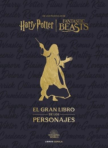 MUNDO MÁGICO: EL GRAN LIBRO DE LOS PERSONAJES | 9788448037901 | REVENSON, JODY | Llibreria Aqualata | Comprar llibres en català i castellà online | Comprar llibres Igualada