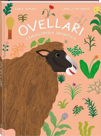 OVELLARI | 9788419913005 | ILARIA, DEMONTI | Llibreria Aqualata | Comprar llibres en català i castellà online | Comprar llibres Igualada