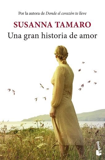 UNA GRAN HISTORIA DE AMOR | 9788432242618 | TAMARO, SUSANNA | Llibreria Aqualata | Comprar libros en catalán y castellano online | Comprar libros Igualada