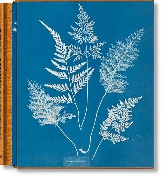 ANNA ATKINS. CYANOTYPES | 9783836596039 | WALTHER, PETER | Llibreria Aqualata | Comprar llibres en català i castellà online | Comprar llibres Igualada