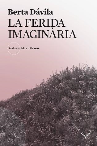 FERIDA IMAGINÀRIA, LA | 9788412639483 | DÁVILA, BERTA | Llibreria Aqualata | Comprar llibres en català i castellà online | Comprar llibres Igualada