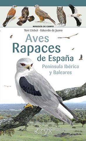 AVES RAPACES DE ESPAÑA, PENÍNSULA IBÉRICA Y BALEARES | 9788418735394 | LLOBET, TONI / DE JUANA, EDUARDO | Llibreria Aqualata | Comprar llibres en català i castellà online | Comprar llibres Igualada