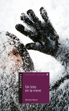 UN LOTO EN LA NIEVE (ALANDAR 12 AÑOS 42) | 9788426352170 | MOURE, GONZALO | Llibreria Aqualata | Comprar llibres en català i castellà online | Comprar llibres Igualada