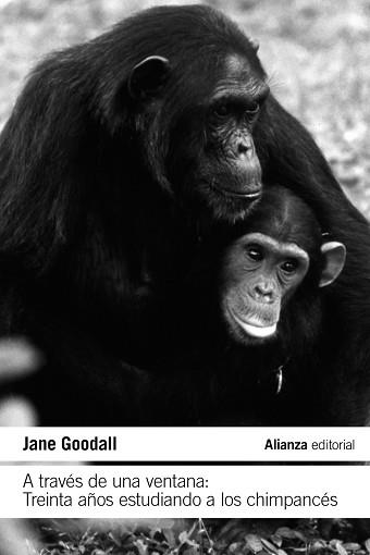 A TRAVÉS DE UNA VENTANA: TREINTA AÑOS ESTUDIANDO A LOS CHIMPANCÉS | 9788411485609 | GOODALL, JANE | Llibreria Aqualata | Comprar libros en catalán y castellano online | Comprar libros Igualada