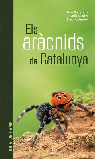 ARÀCNIDS DE CATALUNYA, ELS | 9788418096686 | DOMÈNECH ANDREU, MARC/BELLVERT BANTÍ, ADRIÀ/ARNEDO LOMBARTE, MIQUEL ÀNGEL | Llibreria Aqualata | Comprar llibres en català i castellà online | Comprar llibres Igualada