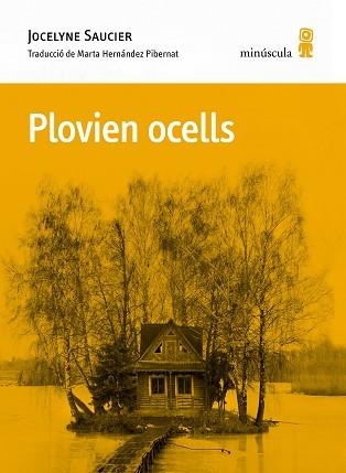 PLOVIEN OCELLS | 9788412662092 | SAUCIER, JOCELYNE | Llibreria Aqualata | Comprar llibres en català i castellà online | Comprar llibres Igualada