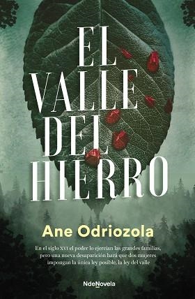 VALLE DEL HIERRO, EL | 9788410140035 | ODRIOZOLA, ANE | Llibreria Aqualata | Comprar llibres en català i castellà online | Comprar llibres Igualada