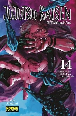 JUJUTSU KAISEN 14  | 9788467966909 | AKUTAMI, GEGE | Llibreria Aqualata | Comprar llibres en català i castellà online | Comprar llibres Igualada