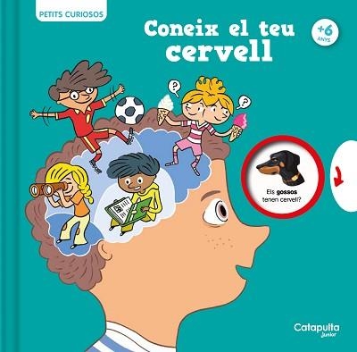 PETITS CURIOSOS: CONEIX EL TEU CERVELL | 9788419987068 | HOUDÉ, OLIVIER / BORST, GRÉGOIRE | Llibreria Aqualata | Comprar llibres en català i castellà online | Comprar llibres Igualada