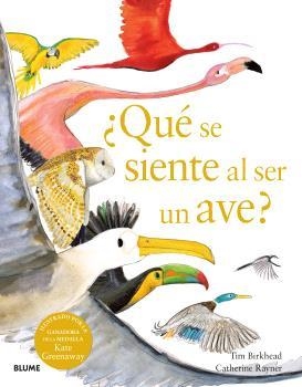 ¿QUÉ SE SIENTE AL SER UN AVE? | 9788410048096 | BIRKHEAD, TIM / RAYNER, CATHERINE | Llibreria Aqualata | Comprar llibres en català i castellà online | Comprar llibres Igualada