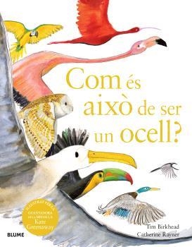 COM ÉS AIXÒ DE SER UN OCELL? | 9788410048102 | BIRKHEAD, TIM / RAYNER, CATHERINE | Llibreria Aqualata | Comprar llibres en català i castellà online | Comprar llibres Igualada