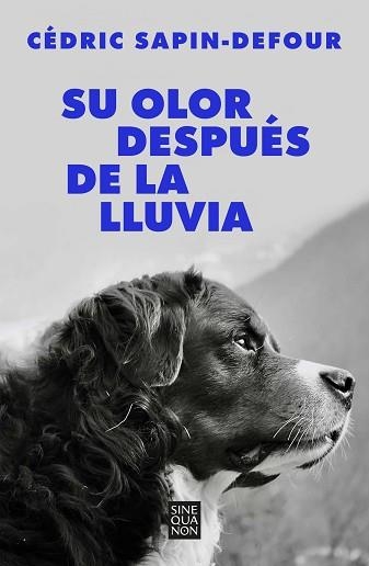 SU OLOR DESPUÉS DE LA LLUVIA | 9788466678766 | SAPIN-DEFOUR, CÉDRIC | Llibreria Aqualata | Comprar llibres en català i castellà online | Comprar llibres Igualada