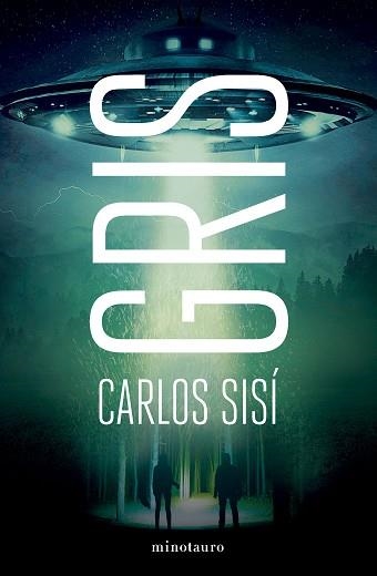 GRIS | 9788445016930 | SISÍ, CARLOS | Llibreria Aqualata | Comprar llibres en català i castellà online | Comprar llibres Igualada