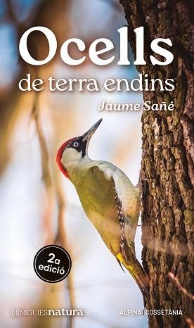 OCELLS DE TERRA ENDINS | 9788413563725 | SAÑÉ, JAUME | Llibreria Aqualata | Comprar libros en catalán y castellano online | Comprar libros Igualada