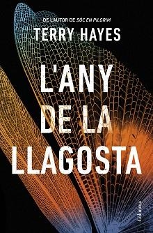 ANY DE LA LLAGOSTA, L' | 9788466432153 | HAYES, TERRY | Llibreria Aqualata | Comprar libros en catalán y castellano online | Comprar libros Igualada