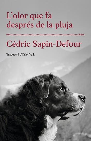 OLOR QUE FA DESPRÉS DE LA PLUJA, L' | 9788417353568 | SAPIN-DEFOUR, CÉDRIC | Llibreria Aqualata | Comprar libros en catalán y castellano online | Comprar libros Igualada