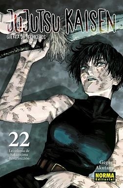 JUJUTSU KAISEN 22 | 9788467962000 | AKUTAMI, GEGE | Llibreria Aqualata | Comprar llibres en català i castellà online | Comprar llibres Igualada