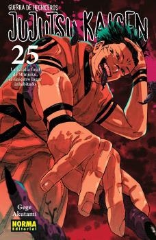 JUJUTSU KAISEN 25 | 9788467971743 | AKUTAMI, GEGE | Llibreria Aqualata | Comprar llibres en català i castellà online | Comprar llibres Igualada