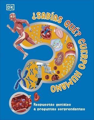 SABÍAS QUÉ? CUERPO HUMANO | 9780241702697 | DK | Llibreria Aqualata | Comprar llibres en català i castellà online | Comprar llibres Igualada