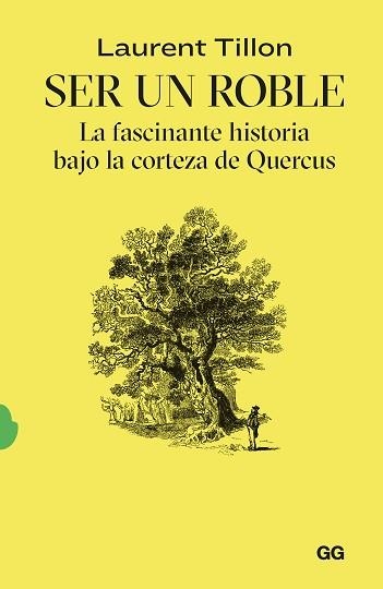 SER UN ROBLE | 9788425235054 | TILLON, LAURENT | Llibreria Aqualata | Comprar libros en catalán y castellano online | Comprar libros Igualada