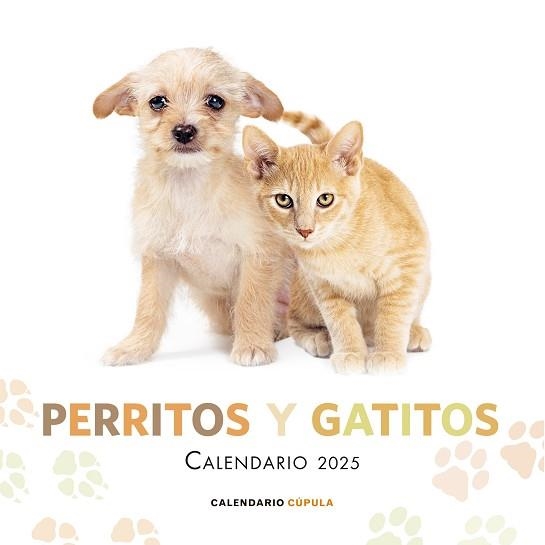 2025 CALENDARIO PERRITOS Y GATITOS | 9788448041632 | AA. VV. | Llibreria Aqualata | Comprar libros en catalán y castellano online | Comprar libros Igualada