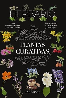 HERBARIO DE PLANTAS CURATIVAS | 9788410124110 | VIGNES, PIERRE / VIGNES, DÉLIA | Llibreria Aqualata | Comprar libros en catalán y castellano online | Comprar libros Igualada