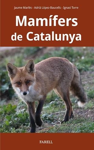 MAMÍFERS DE CATALUNYA | 9788417116927 | MARLES MAGRE, JAUME / LOPEZ-BAUCELLS, ADRIA / TORRE COROMINAS, IGNASI | Llibreria Aqualata | Comprar libros en catalán y castellano online | Comprar libros Igualada