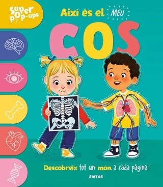 SUPER POP-UPS - AIXÍ ÉS EL MEU COS | 9788427243989 | ARD, CATHERINE | Llibreria Aqualata | Comprar llibres en català i castellà online | Comprar llibres Igualada