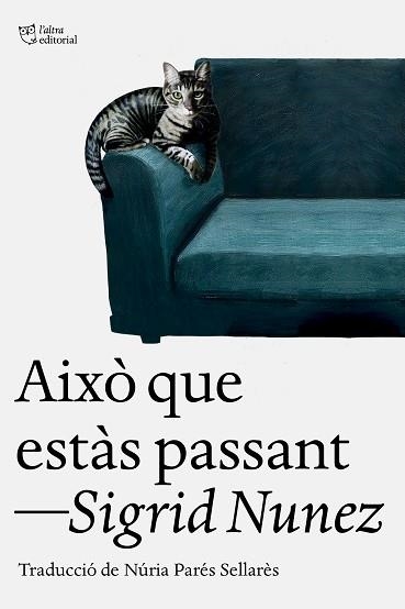 AIXÒ QUE ESTÀS PASSANT | 9788412925739 | NUNEZ, SIGRID | Llibreria Aqualata | Comprar llibres en català i castellà online | Comprar llibres Igualada