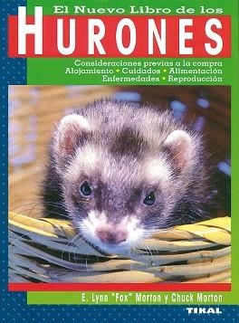 NUEVO LIBRO DE LOS HURONES, EL | 9788430597567 | MORTON, E. LYNN FOX | Llibreria Aqualata | Comprar llibres en català i castellà online | Comprar llibres Igualada