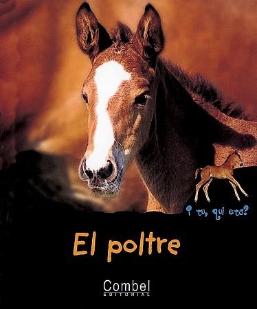 POLTRE, EL (I TU, QUI ETS) | 9788478642151 | MARIE, CHRISTIAN | Llibreria Aqualata | Comprar llibres en català i castellà online | Comprar llibres Igualada