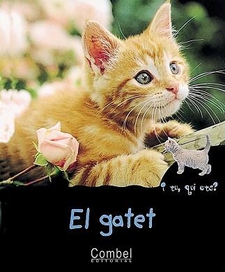 GATET, EL (I TU, QUI ETS?) | 9788478642304 | MARIE, CHRISTIAN | Llibreria Aqualata | Comprar llibres en català i castellà online | Comprar llibres Igualada