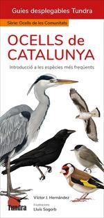 OCELLS DE CATALUNYA | 9788419624864 | HERNANDEZ, VICTOR J | Llibreria Aqualata | Comprar libros en catalán y castellano online | Comprar libros Igualada