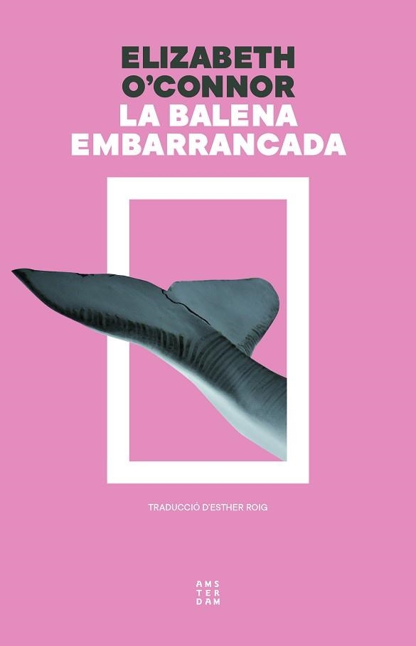 BALENA EMBARRANCADA, LA | 9788419960313 | O'CONNOR, ELIZABETH | Llibreria Aqualata | Comprar llibres en català i castellà online | Comprar llibres Igualada