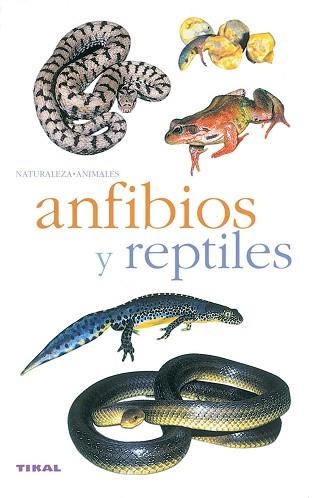 ANFIBIOS Y REPTILES | 9788430553341 | Llibreria Aqualata | Comprar llibres en català i castellà online | Comprar llibres Igualada