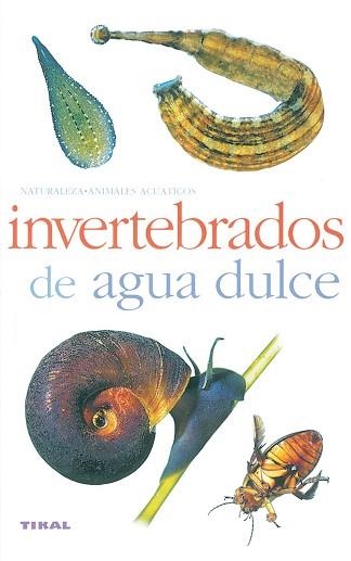 INVERTEBRADOS DE AGUA DULCE (NATURALEZA.ANIMALES ACUATICOS) | 9788430553938 | Llibreria Aqualata | Comprar libros en catalán y castellano online | Comprar libros Igualada