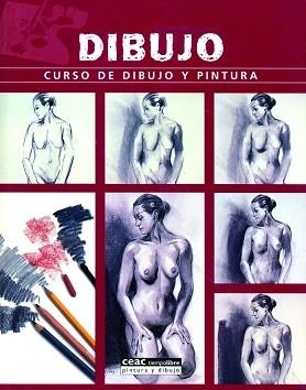 DIBUJO. CURSO DE DIBUJO Y PINTURA | 9788432915772 | AA.VV. | Llibreria Aqualata | Comprar llibres en català i castellà online | Comprar llibres Igualada