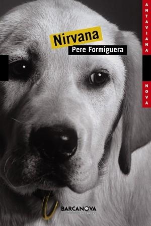 NIRVANA (ANTAVIANA NOVA 96) | 9788448919443 | FORMIGUERA, PERE | Llibreria Aqualata | Comprar llibres en català i castellà online | Comprar llibres Igualada