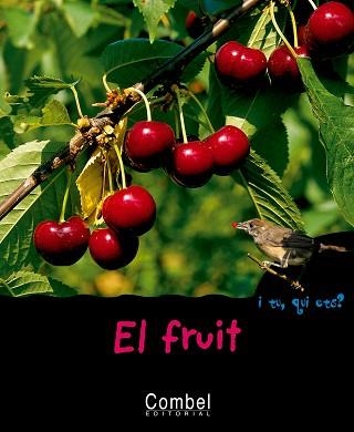 FRUIT, EL (I TU, QUI ETS?) | 9788498251333 | Llibreria Aqualata | Comprar llibres en català i castellà online | Comprar llibres Igualada