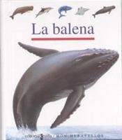 BALENA, LA (MON MERAVELLOS 43) | 9788482868264 | Llibreria Aqualata | Comprar llibres en català i castellà online | Comprar llibres Igualada