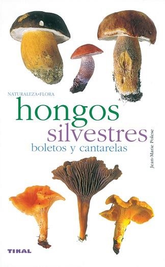 HONGOS SILVESTRES. BOLETOS Y CANTARELAS (NATU- FLORA 1) | 9788430553365 | POLESE, JEAN MARIE | Llibreria Aqualata | Comprar llibres en català i castellà online | Comprar llibres Igualada