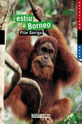 UN ESTIU A BORNEO (ANTAVIANA NOVA, 116) | 9788448921071 | GARRIGA, PILAR | Llibreria Aqualata | Comprar llibres en català i castellà online | Comprar llibres Igualada