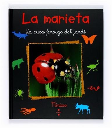 MARIETA, LA (MINIZOO) | 9788466120555 | TRACQUI, VALERIE | Llibreria Aqualata | Comprar llibres en català i castellà online | Comprar llibres Igualada