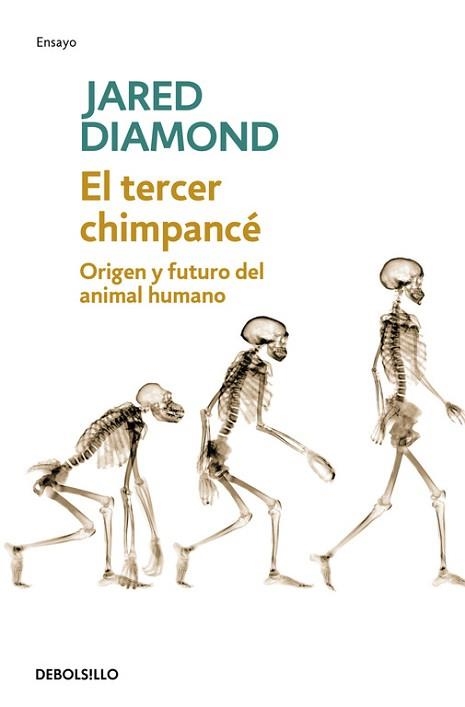 TERCER CHIMPANCE, EL (DEBOLSILLO 214) | 9788483467497 | DIAMOND, JARED | Llibreria Aqualata | Comprar llibres en català i castellà online | Comprar llibres Igualada